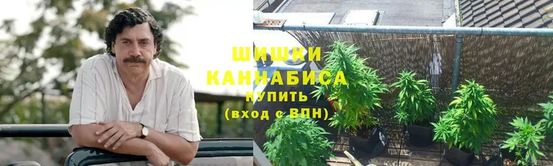 цена наркотик  Камышин  сайты даркнета как зайти  Бошки марихуана VHQ 